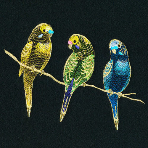 Three Tweet Parakeets