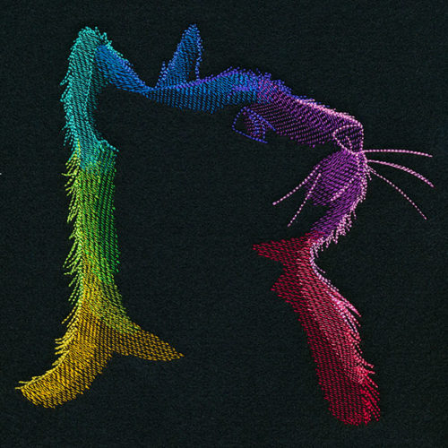 Rainbow Kitty Cat