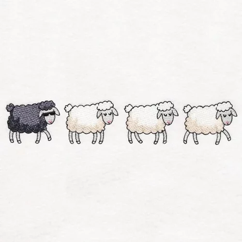 Baa Baa Black Sheep & Ewes