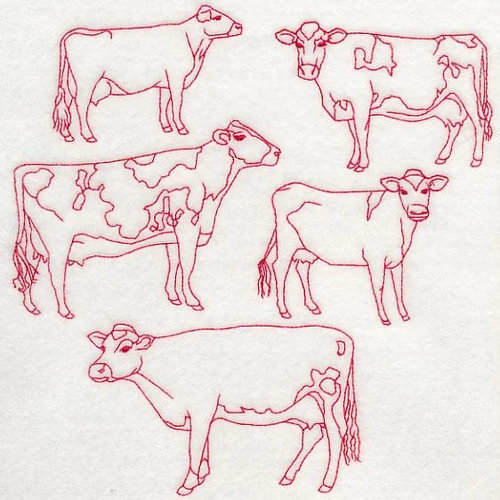 Dairy Cows Line Design