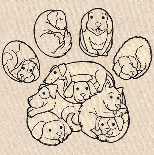 Dog Paw Of Dogs