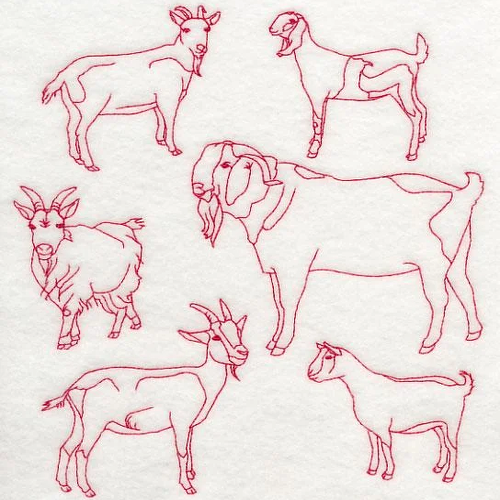 Goat Line Design