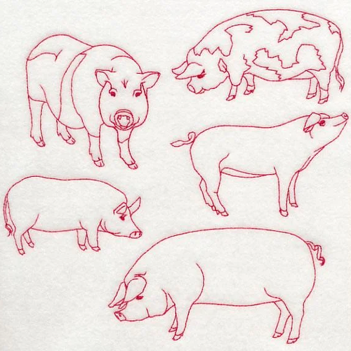 Pig Line Design