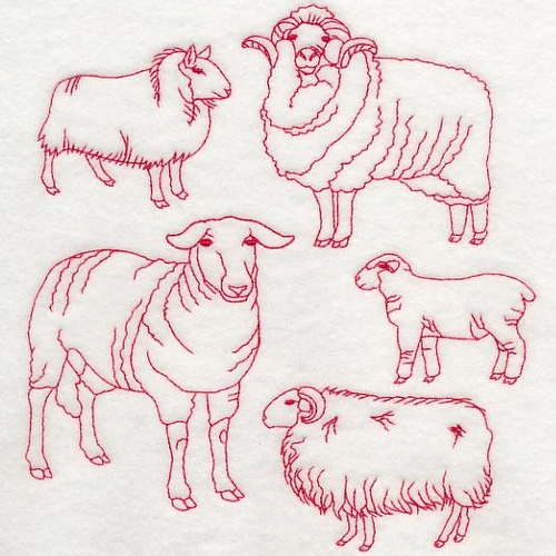 Sheep Line Design