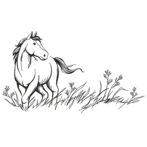 Field Horse