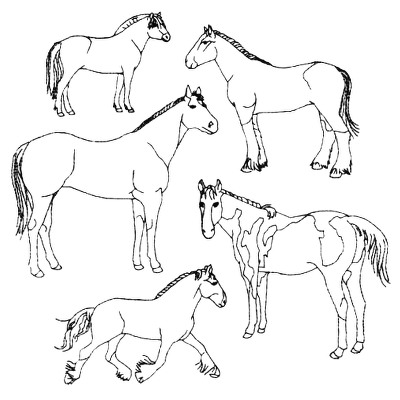 Horse Line Design