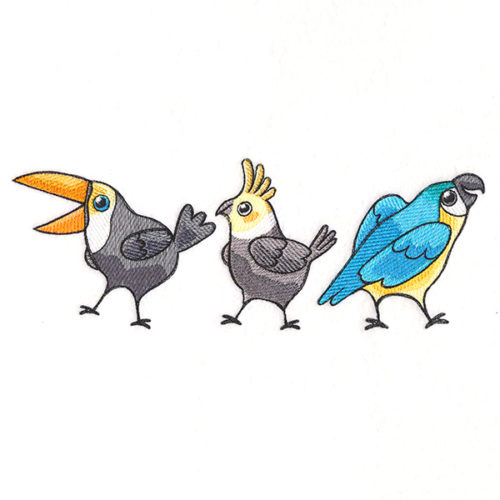 Exotic Bird Trio