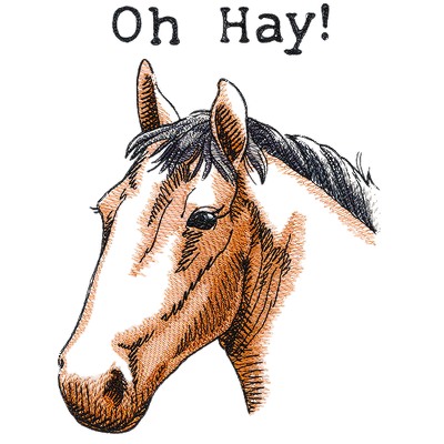 Oh Hay Horse